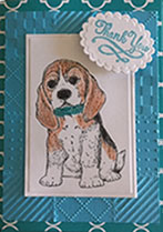 Pretty Penny Designs, Beagle Thank You