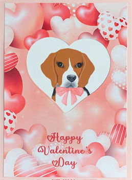 Hearts and Beagle Valentine